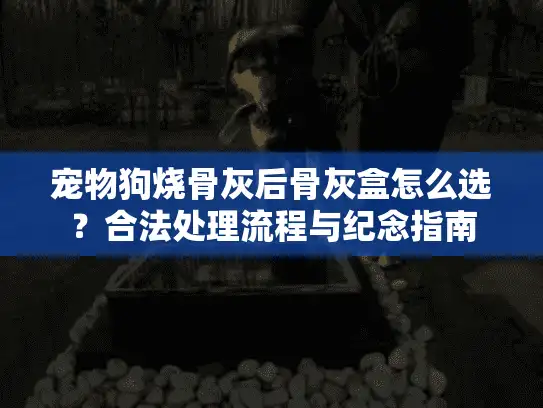 宠物狗烧骨灰后骨灰盒怎么选？合法处理流程与纪念指南