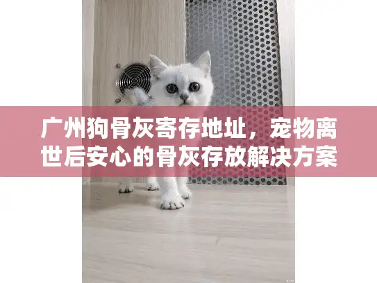 广州狗骨灰寄存地址，宠物离世后安心的骨灰存放解决方案
