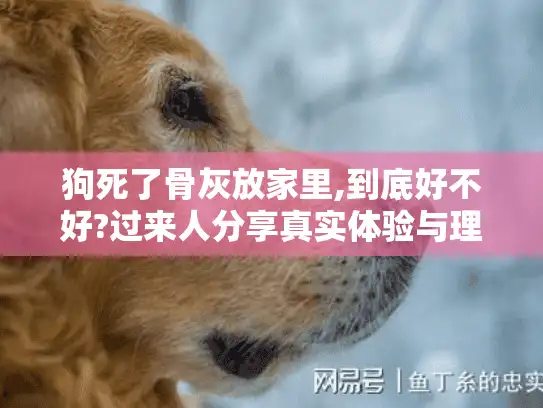 狗死了骨灰放家里,到底好不好?过来人分享真实体验与理性指南