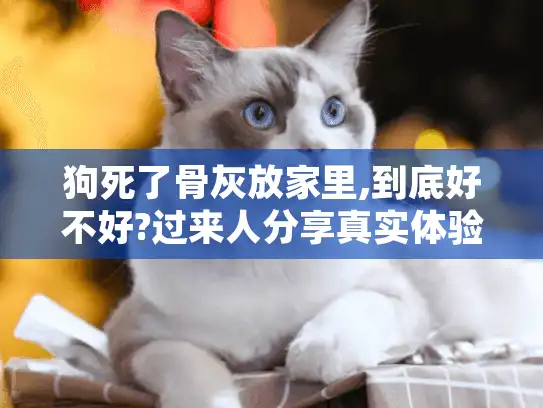 狗死了骨灰放家里,到底好不好?过来人分享真实体验与理性指南