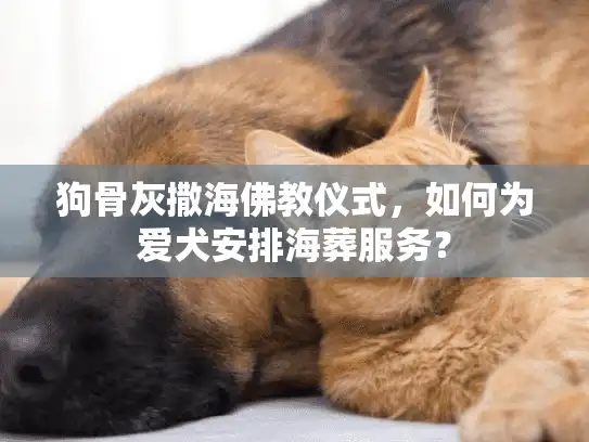 狗骨灰撒海佛教仪式，如何为爱犬安排海葬服务？
