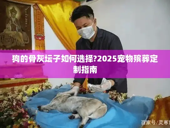 狗的骨灰坛子如何选择?2025宠物殡葬定制指南