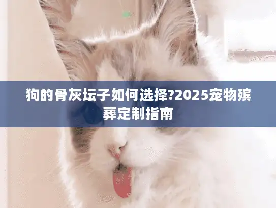 狗的骨灰坛子如何选择?2025宠物殡葬定制指南