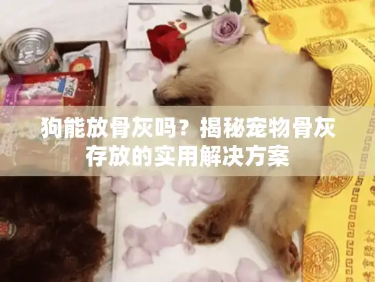 狗能放骨灰吗？揭秘宠物骨灰存放的实用解决方案