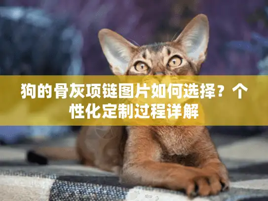 狗的骨灰项链图片如何选择？个性化定制过程详解