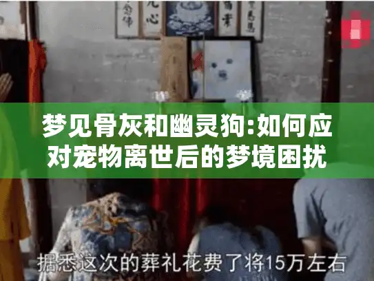 梦见骨灰和幽灵狗:如何应对宠物离世后的梦境困扰?