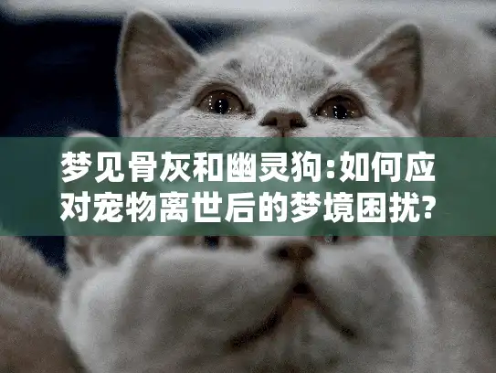 梦见骨灰和幽灵狗:如何应对宠物离世后的梦境困扰?