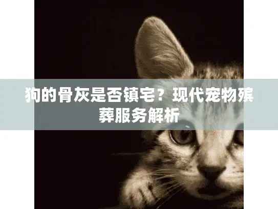 狗的骨灰是否镇宅？现代宠物殡葬服务解析