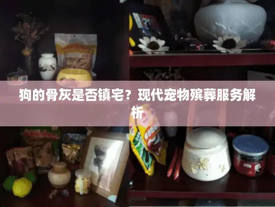 狗的骨灰是否镇宅？现代宠物殡葬服务解析