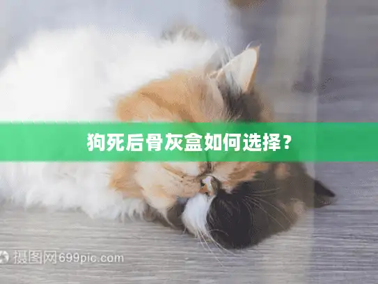 狗死后骨灰盒如何选择？