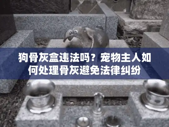 狗骨灰盒违法吗？宠物主人如何处理骨灰避免法律纠纷