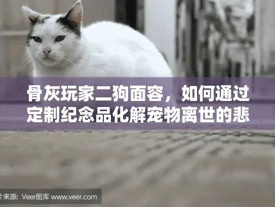 骨灰玩家二狗面容，如何通过定制纪念品化解宠物离世的悲伤？