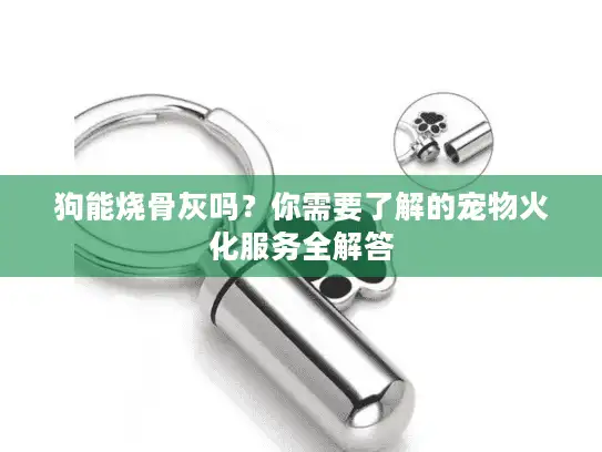 狗能烧骨灰吗？你需要了解的宠物火化服务全解答