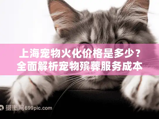 上海宠物火化价格是多少？全面解析宠物殡葬服务成本细节