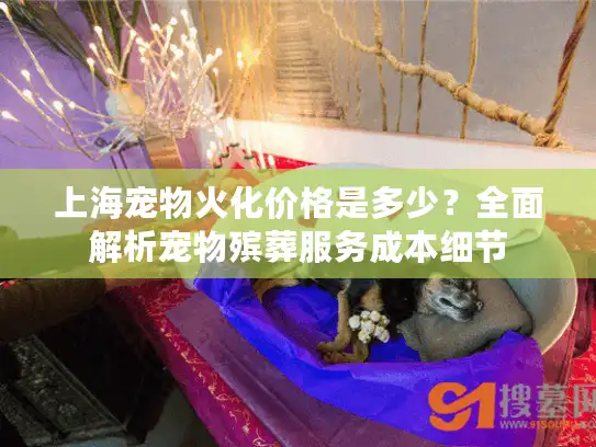 上海宠物火化价格是多少？全面解析宠物殡葬服务成本细节