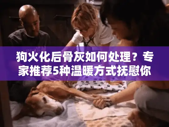 狗火化后骨灰如何处理？专家推荐5种温暖方式抚慰你的心