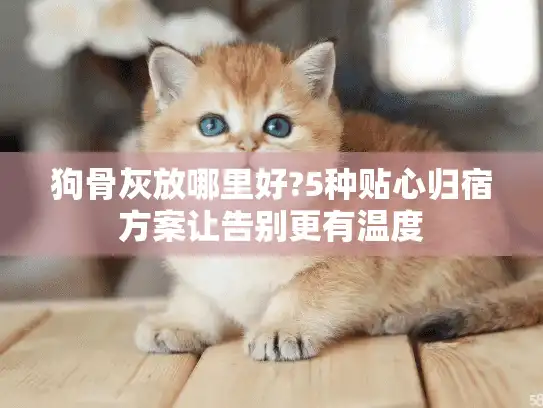 狗骨灰放哪里好?5种贴心归宿方案让告别更有温度