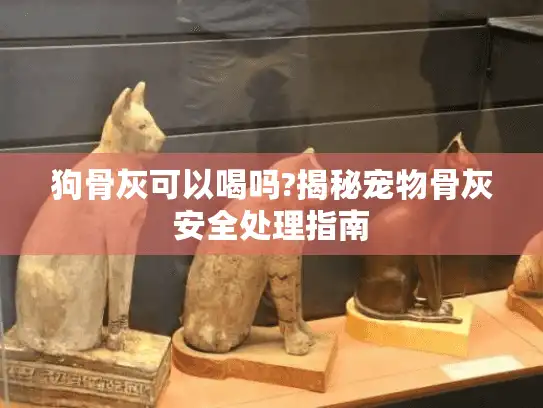 狗骨灰可以喝吗?揭秘宠物骨灰安全处理指南