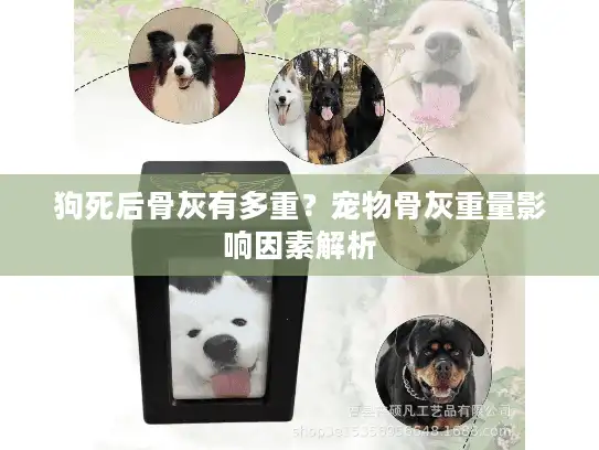 狗死后骨灰有多重？宠物骨灰重量影响因素解析