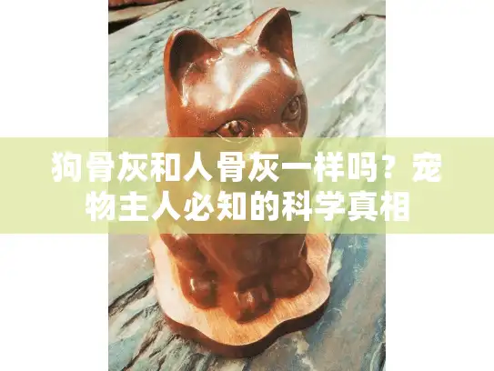 狗骨灰和人骨灰一样吗？宠物主人必知的科学真相