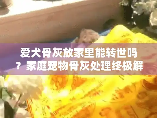 爱犬骨灰放家里能转世吗？家庭宠物骨灰处理终极解答