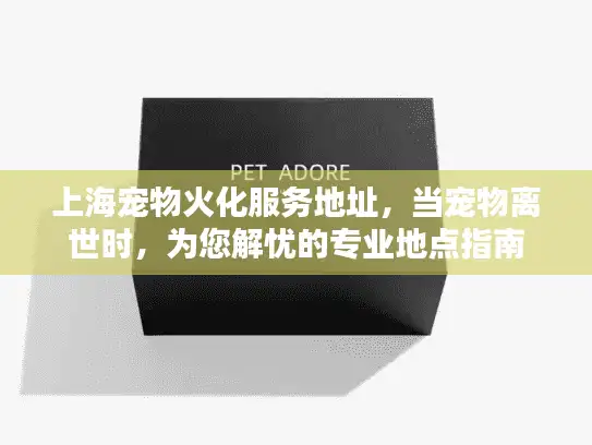 上海宠物火化服务地址，当宠物离世时，为您解忧的专业地点指南