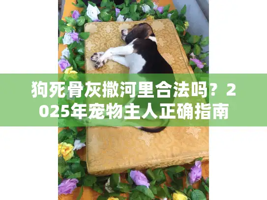 狗死骨灰撒河里合法吗？2025年宠物主人正确指南