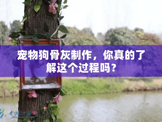 宠物狗骨灰制作，你真的了解这个过程吗？
