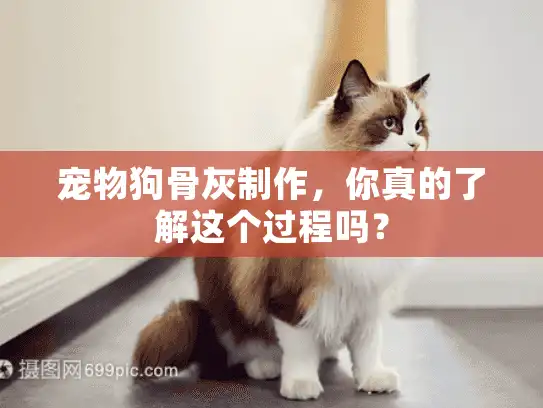 宠物狗骨灰制作，你真的了解这个过程吗？