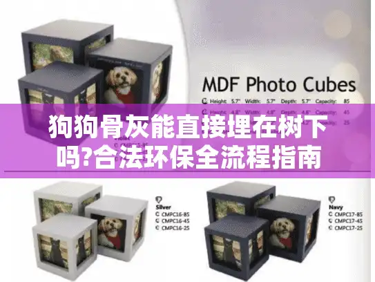 狗狗骨灰能直接埋在树下吗?合法环保全流程指南