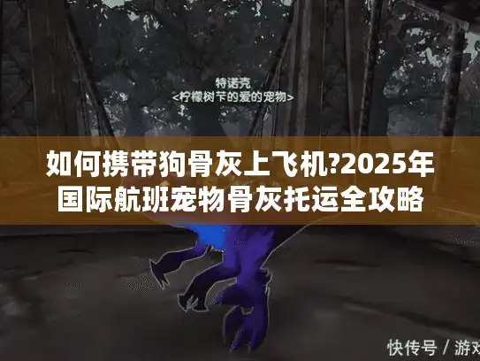 如何携带狗骨灰上飞机?2025年国际航班宠物骨灰托运全攻略