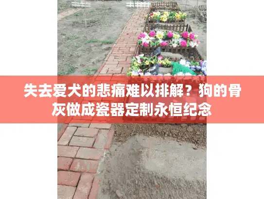 失去爱犬的悲痛难以排解？狗的骨灰做成瓷器定制永恒纪念