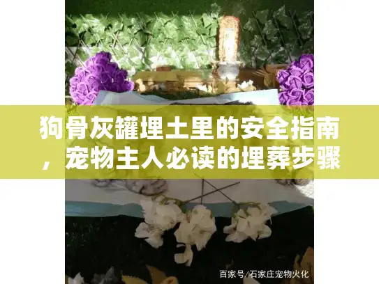 狗骨灰罐埋土里的安全指南，宠物主人必读的埋葬步骤