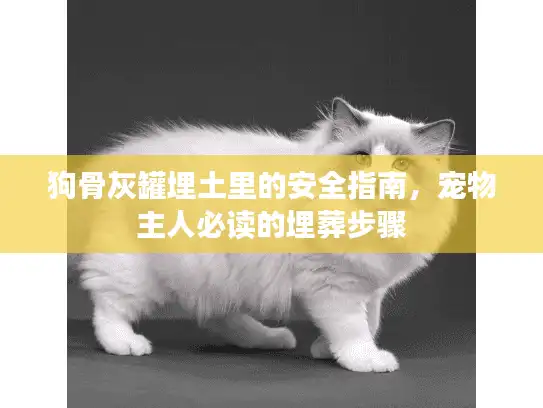 狗骨灰罐埋土里的安全指南，宠物主人必读的埋葬步骤