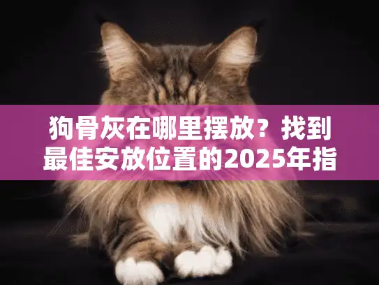 狗骨灰在哪里摆放？找到最佳安放位置的2025年指南