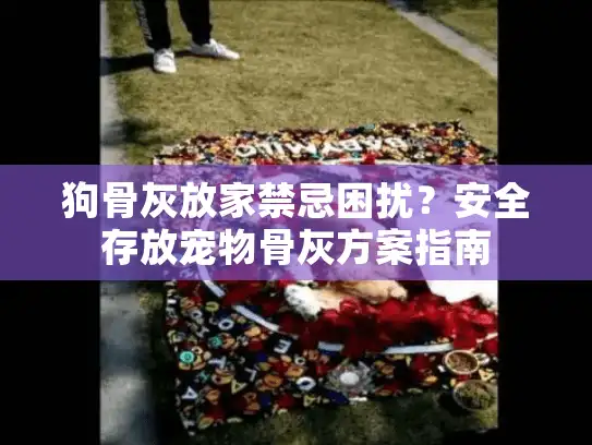 狗骨灰放家禁忌困扰？安全存放宠物骨灰方案指南