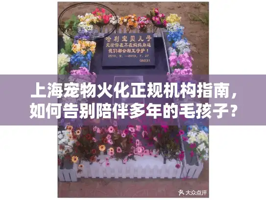 上海宠物火化正规机构指南，如何告别陪伴多年的毛孩子？