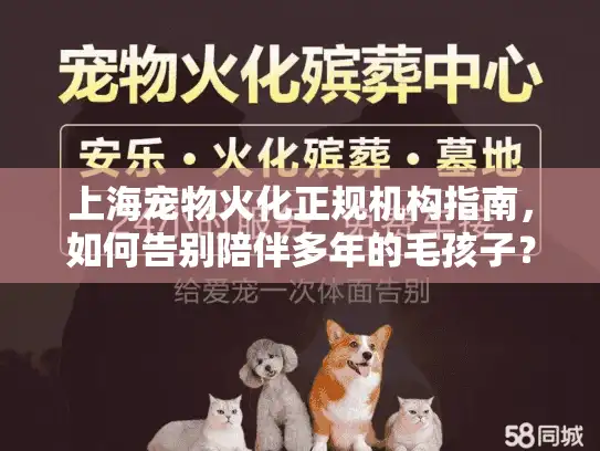 上海宠物火化正规机构指南，如何告别陪伴多年的毛孩子？