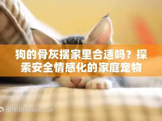狗的骨灰摆家里合适吗？探索安全情感化的家庭宠物骨灰盒方案
