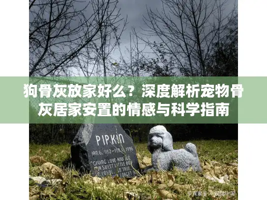 狗骨灰放家好么？深度解析宠物骨灰居家安置的情感与科学指南