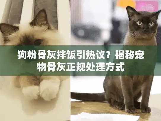 狗粉骨灰拌饭引热议？揭秘宠物骨灰正规处理方式