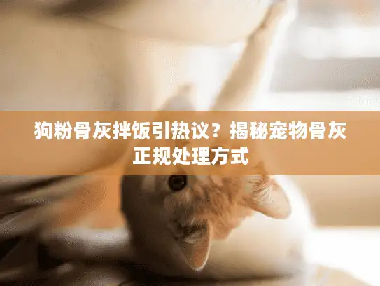 狗粉骨灰拌饭引热议？揭秘宠物骨灰正规处理方式