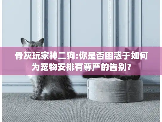 骨灰玩家神二狗:你是否困惑于如何为宠物安排有尊严的告别？