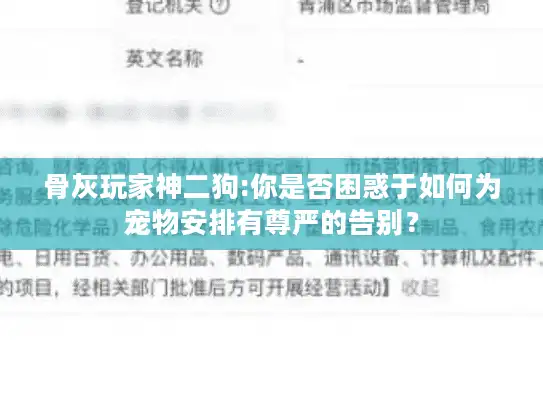 骨灰玩家神二狗:你是否困惑于如何为宠物安排有尊严的告别？