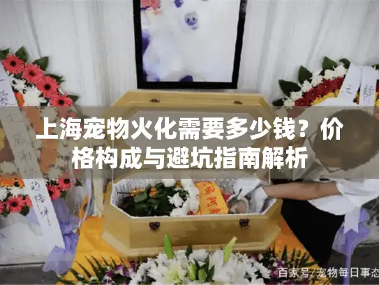 上海宠物火化需要多少钱？价格构成与避坑指南解析