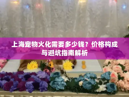 上海宠物火化需要多少钱？价格构成与避坑指南解析