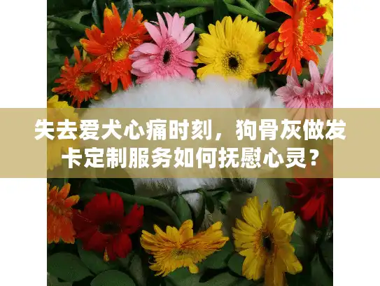 失去爱犬心痛时刻，狗骨灰做发卡定制服务如何抚慰心灵？