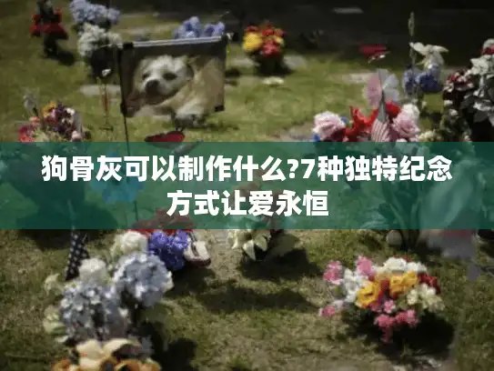 狗骨灰可以制作什么?7种独特纪念方式让爱永恒