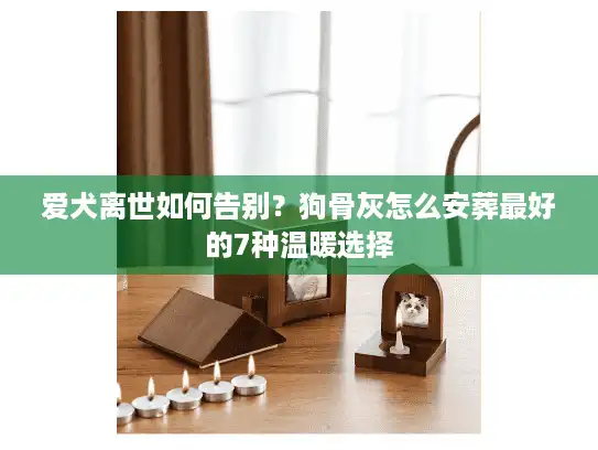 爱犬离世如何告别？狗骨灰怎么安葬最好的7种温暖选择