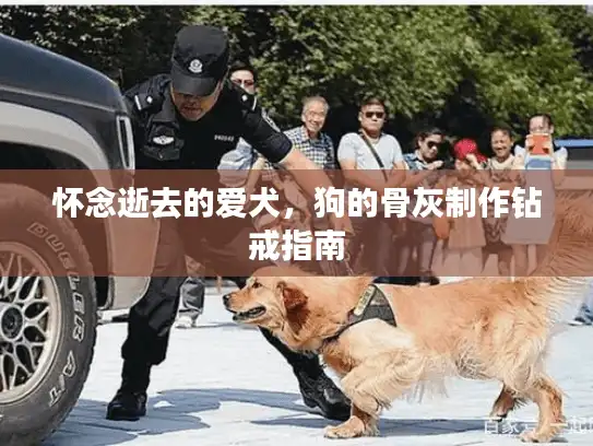 怀念逝去的爱犬，狗的骨灰制作钻戒指南